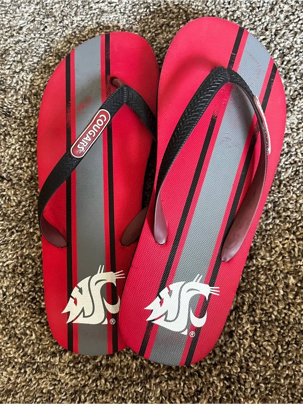 Cougar Men's Red & Gray Striped Flip Flops with Black Straps